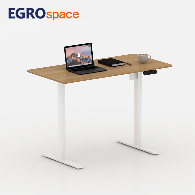 Egrospace Sit Stand Single Motor Standing Converter Electric Computer Executive Office Desk