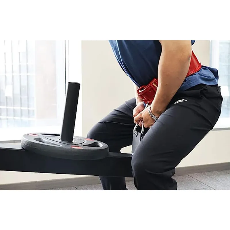 Wall Mounted Power Cage