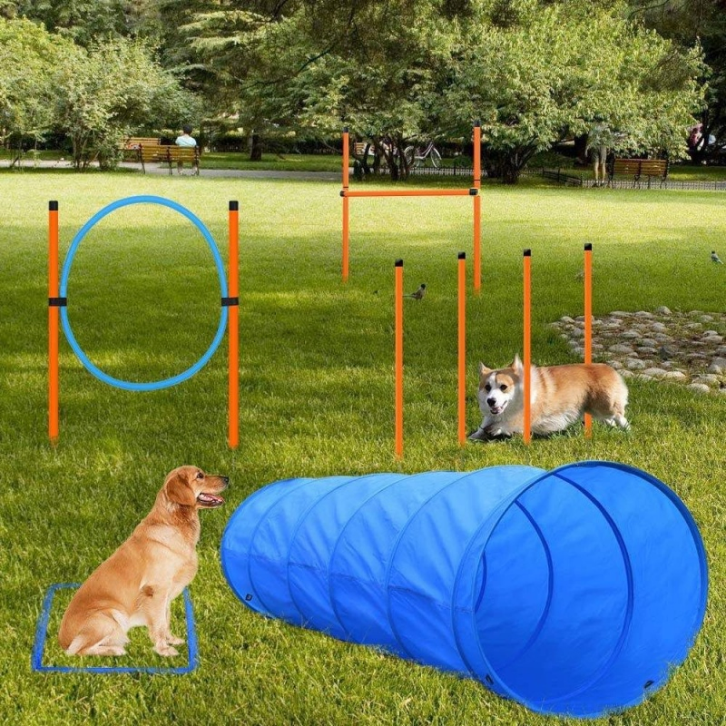 Pet Dog Agility Training Kit Jump Hurdle Tire Tunnel Slalom for Dogs