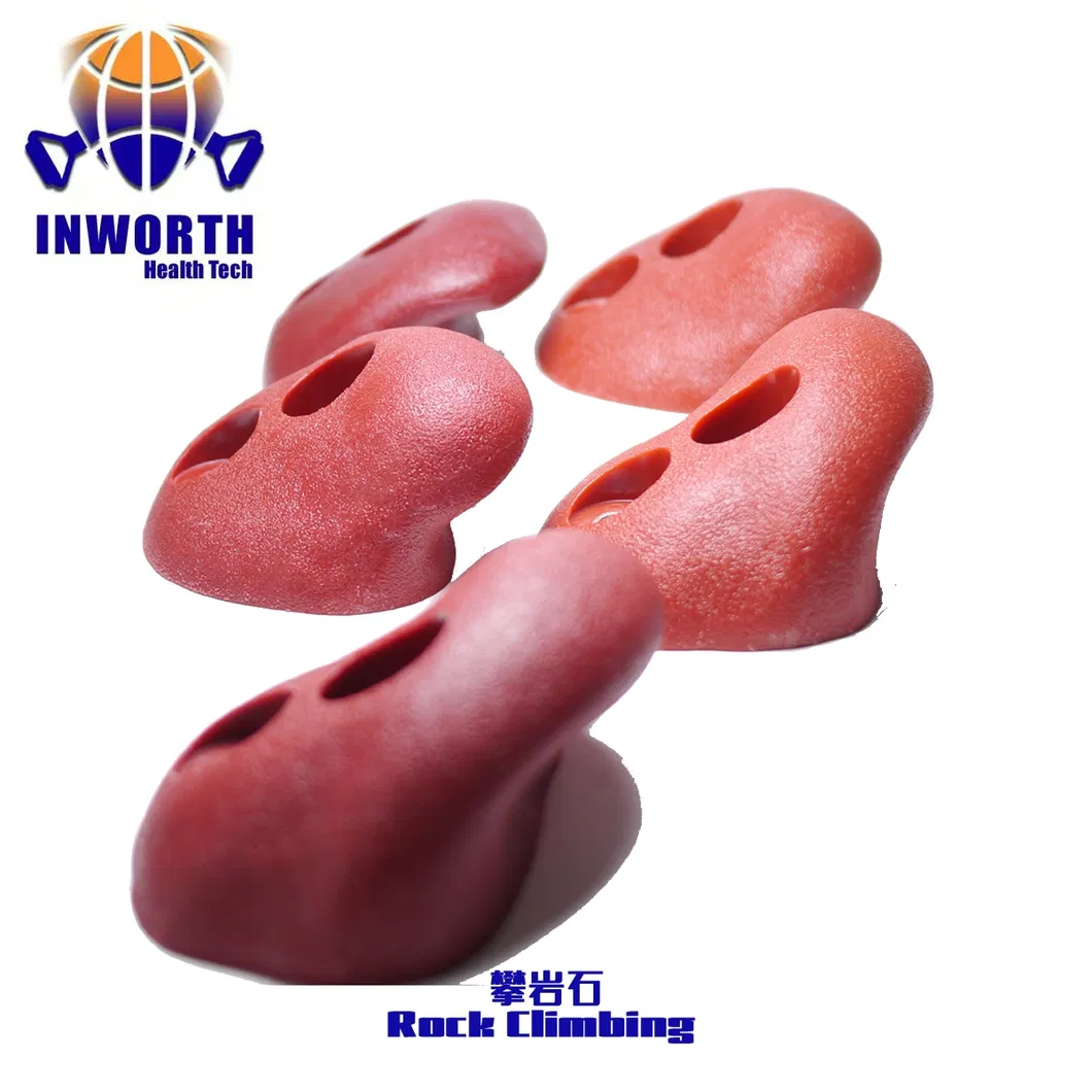 Climbing Hold Detail 1