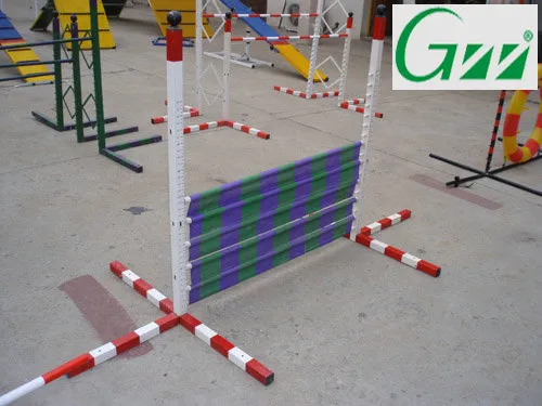 Training Jump Hurdle 1