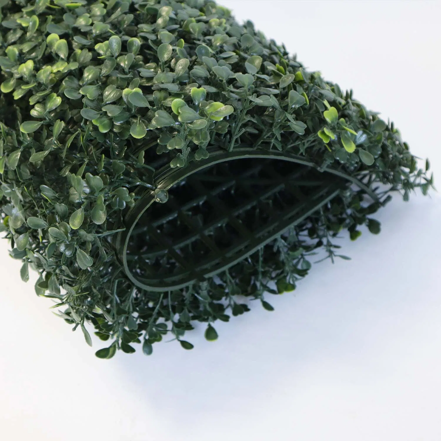 Grass Wall Classroom Grass Decoration Wall Green Wall Plants The Living Wall Vertical Green Wall Garden Plant Wall Grass Wall in Home