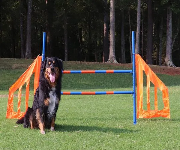 Training Jump Hurdle 4