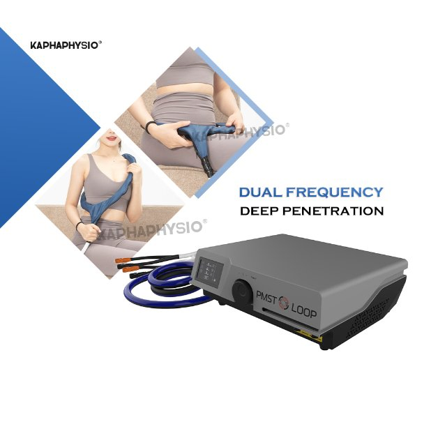 Premium Pemf Therapy Mat for Pain Relief and Healing