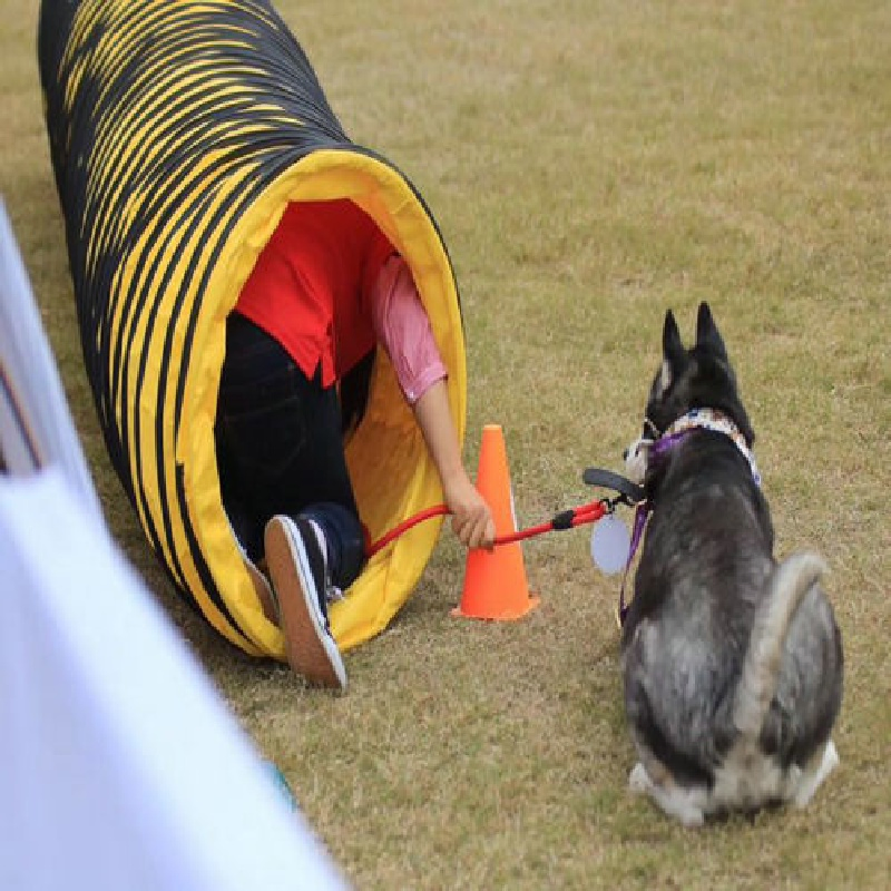 60cm Dog Training Turnnel Tube Dog Agility Tunnel
