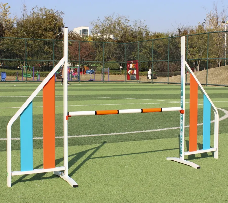 Dog Agility Training Jump 1