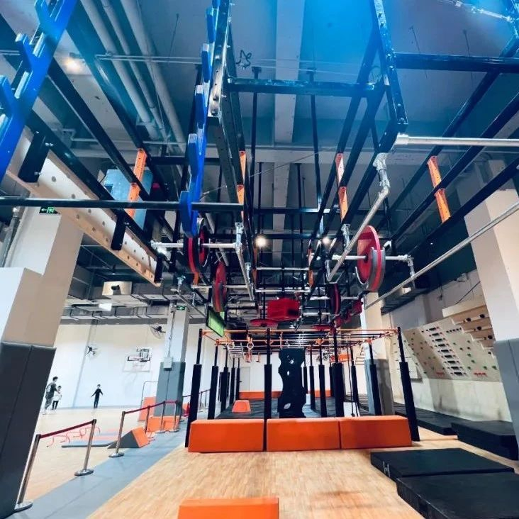 Ninja Warrior Obstacle Course Set: Indoor Fun to Boost Kids' Physical Skills