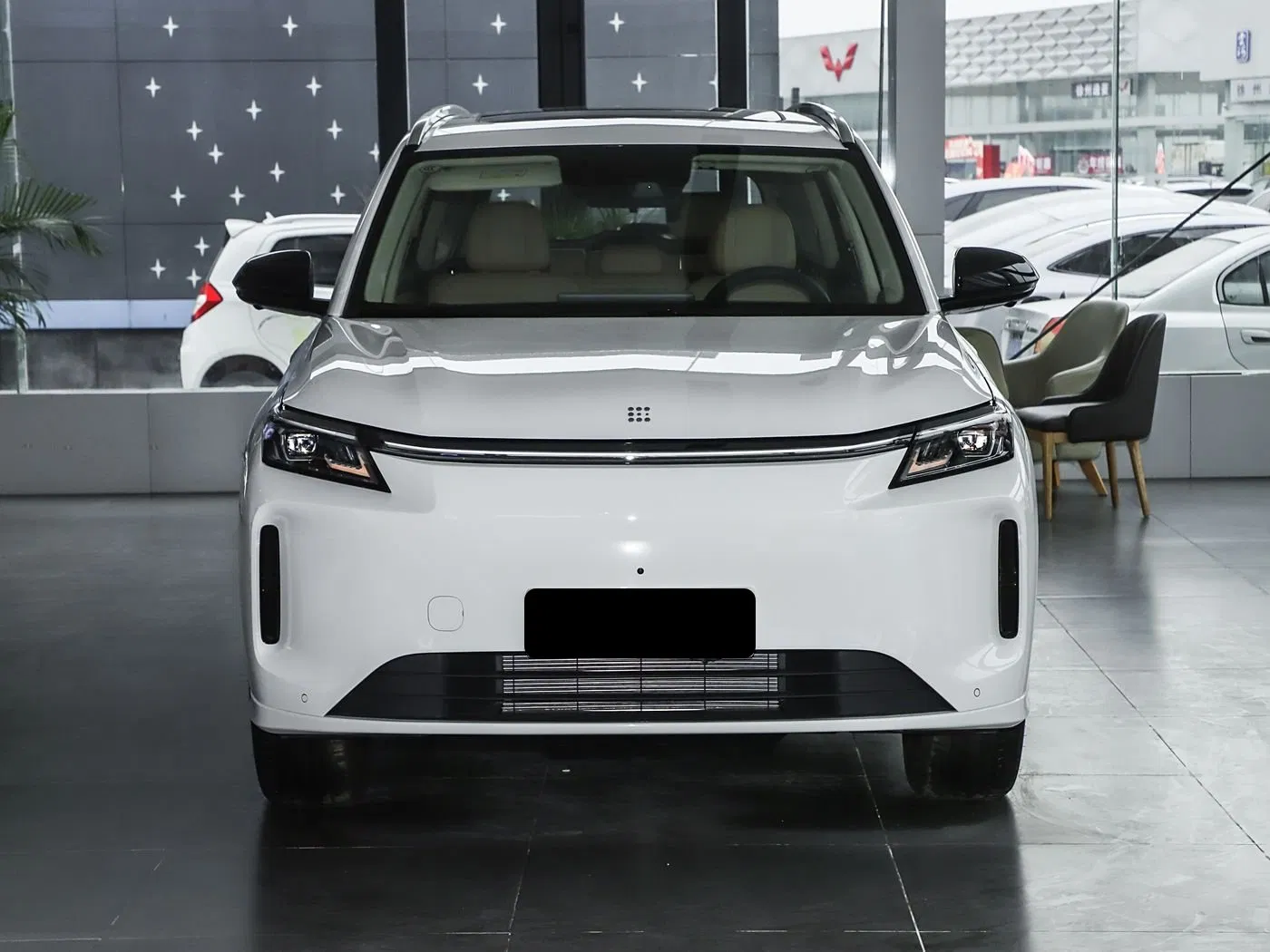 Youth-Friendly Youthful Landian E5 Plus Auto Gear for Snowy/ Muddy Road