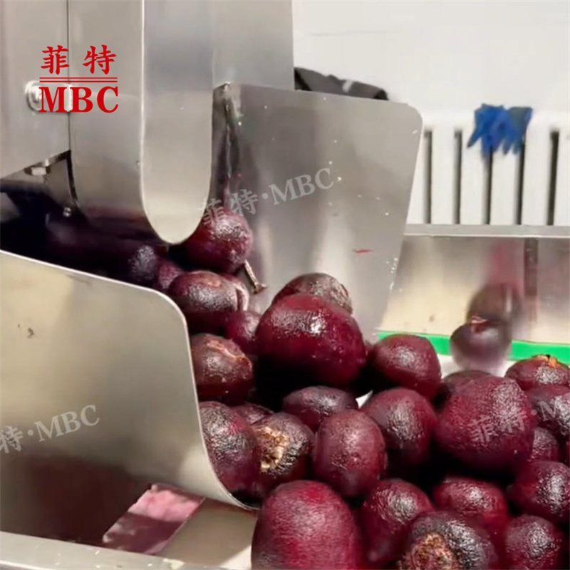 MBC CE Certification Large Capacity Carrot Peeler Cassava Potato Beet Vegetables Peeling washing Equipment