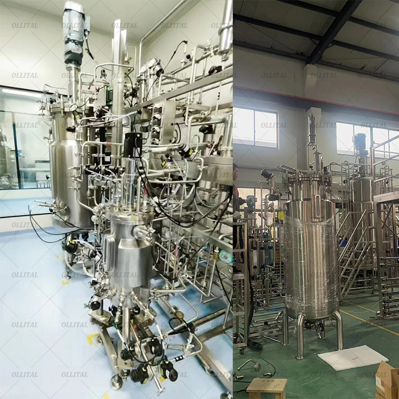 Ollital Bioreactor Equipment Batch and Continuous Bioreactor