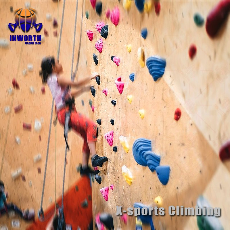Indoor/Outdoor Professional Climbing Training for Adults ABS Artificial Climbing Rocks Module System--Crossfit--Bouldering