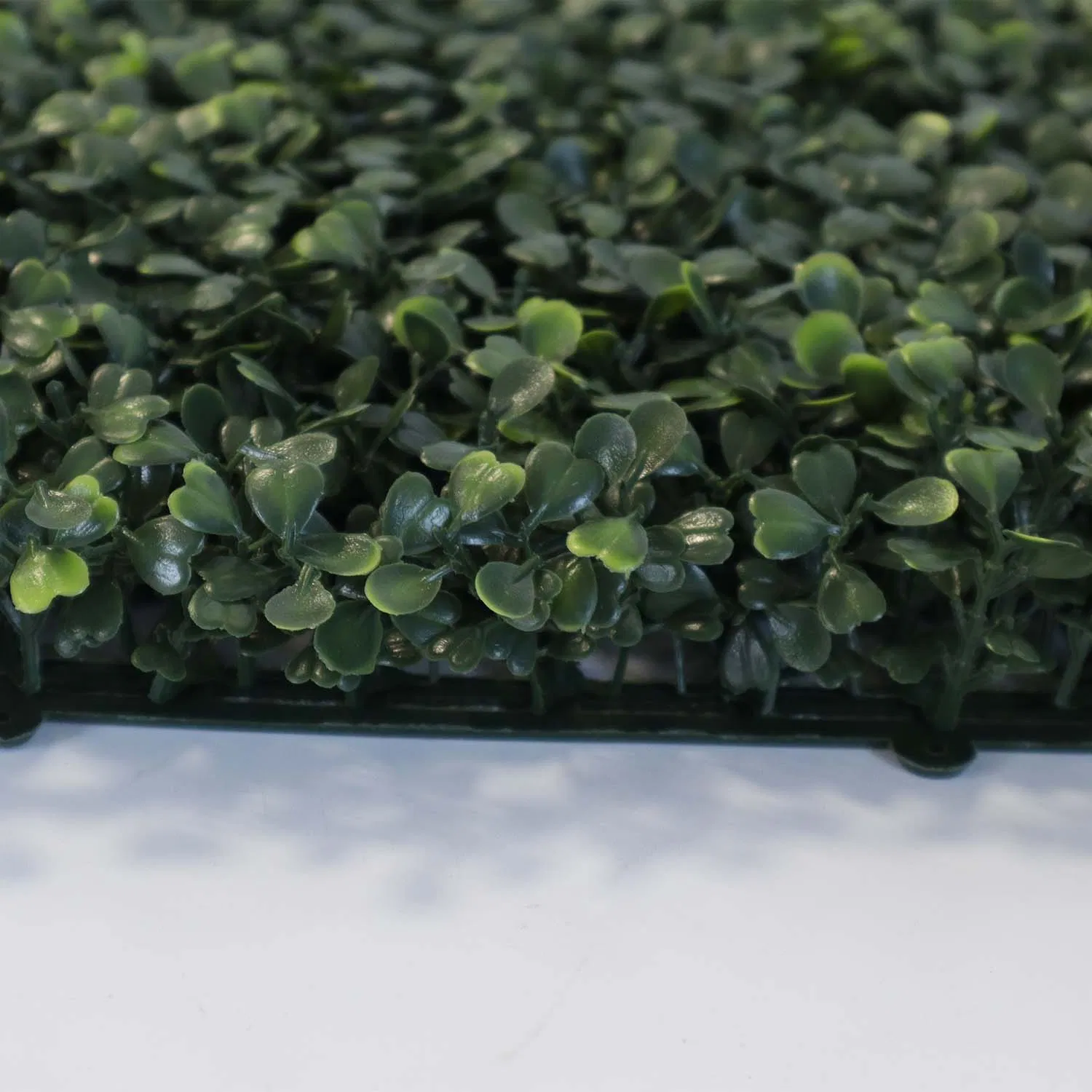 Grass Wall Classroom Grass Decoration Wall Green Wall Plants The Living Wall Vertical Green Wall Garden Plant Wall Grass Wall in Home