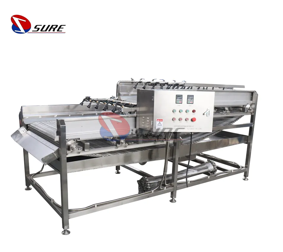Ice Glazing Machine Overview