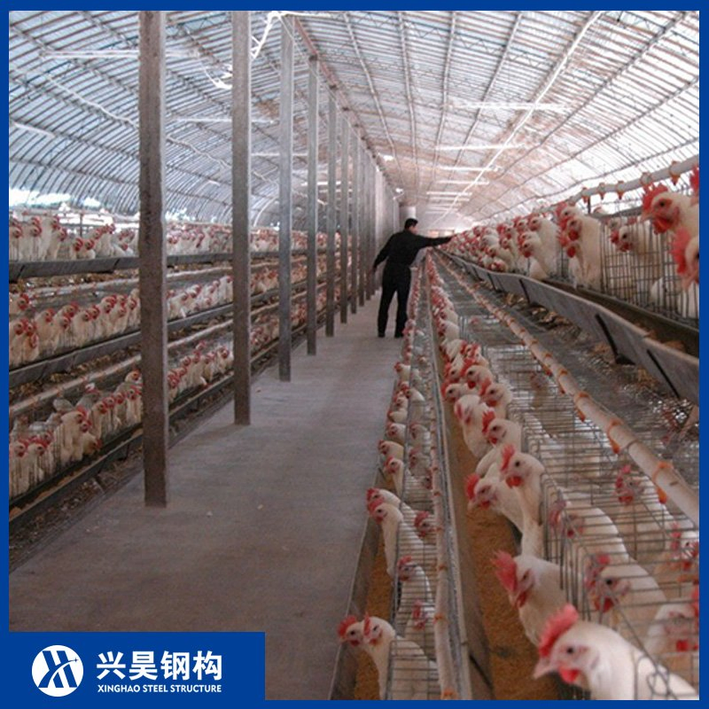 Climate-Adaptive Steel Building Prefab Metal Storage Farming Equipment Steel Structure Sheep/Goat/Pig/Hog/Cattle/Cow/Poultry House/Shed