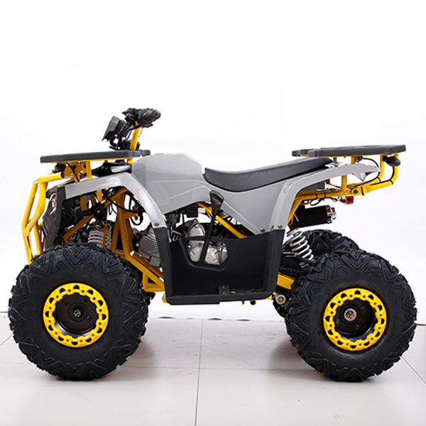 Youth &amp; Children's ATV with Automatic Gear for Safe Learning