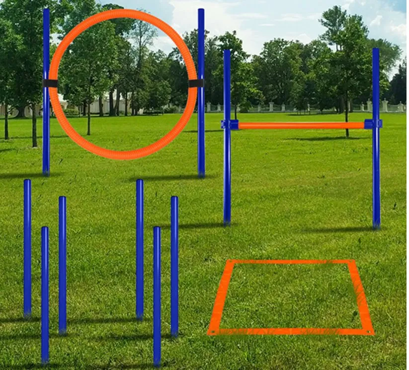 Dog Agility Equipment