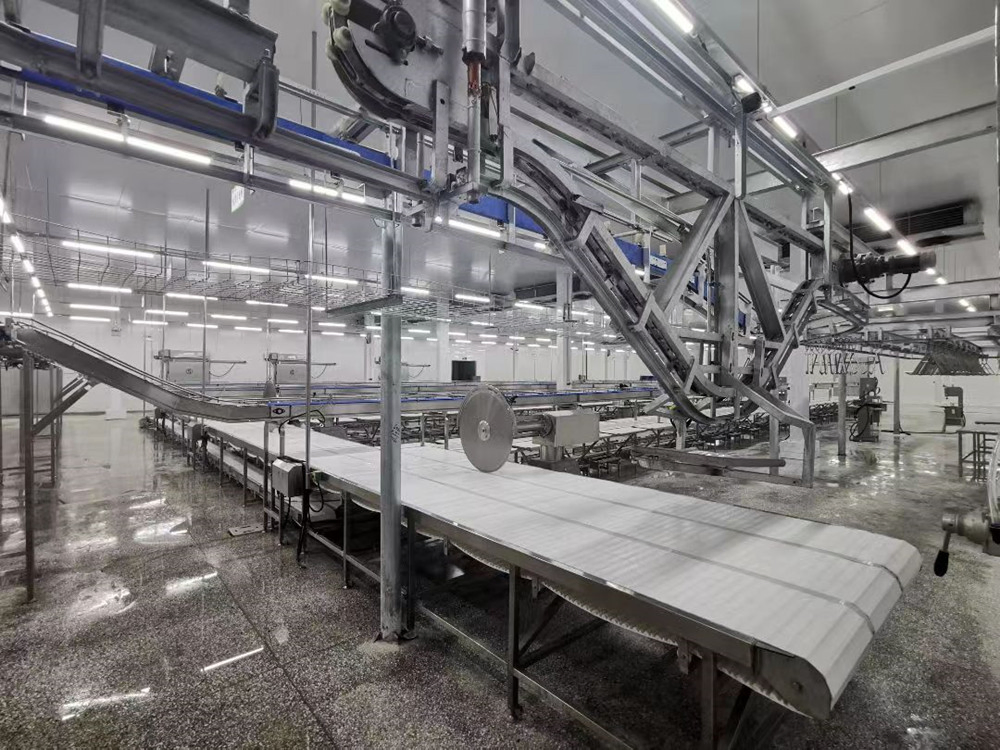Meat Procession Room Automatic Meat Processing and Meat Cutting Line Equipment
