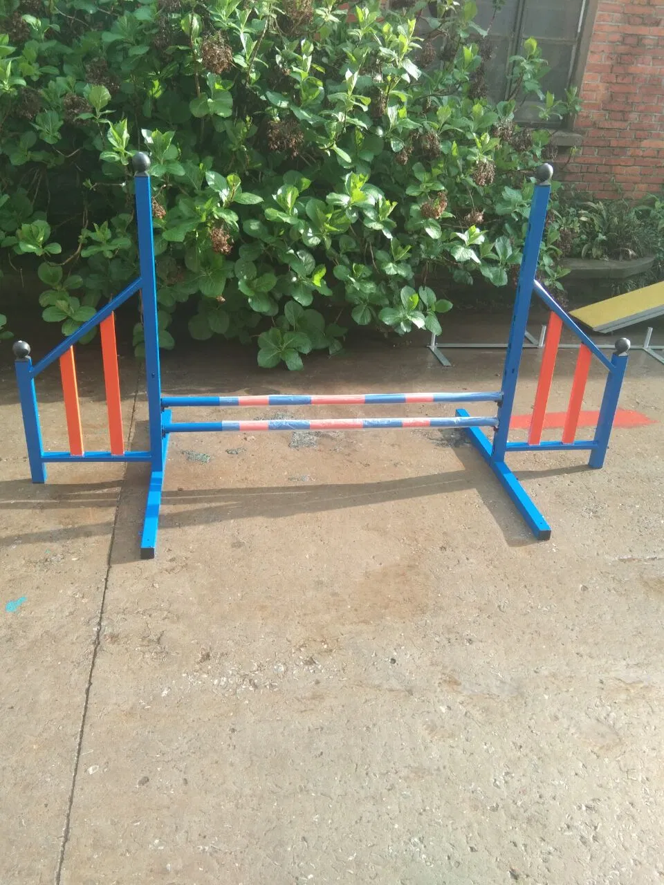 Training Jump Hurdle 2