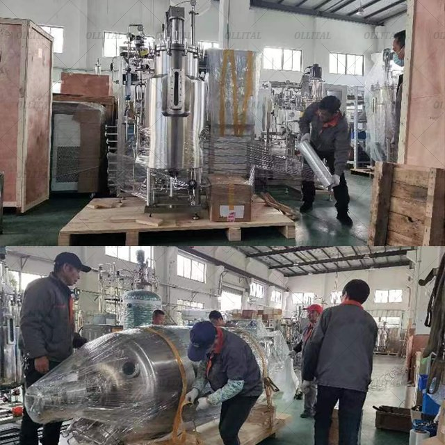 Ollital Laboratory Stainless Steel Fermenter Bioreactor