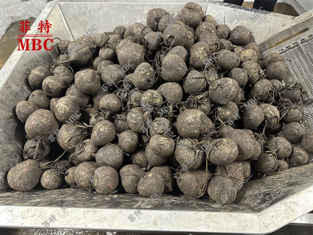 Vegetable Peeler Equipment