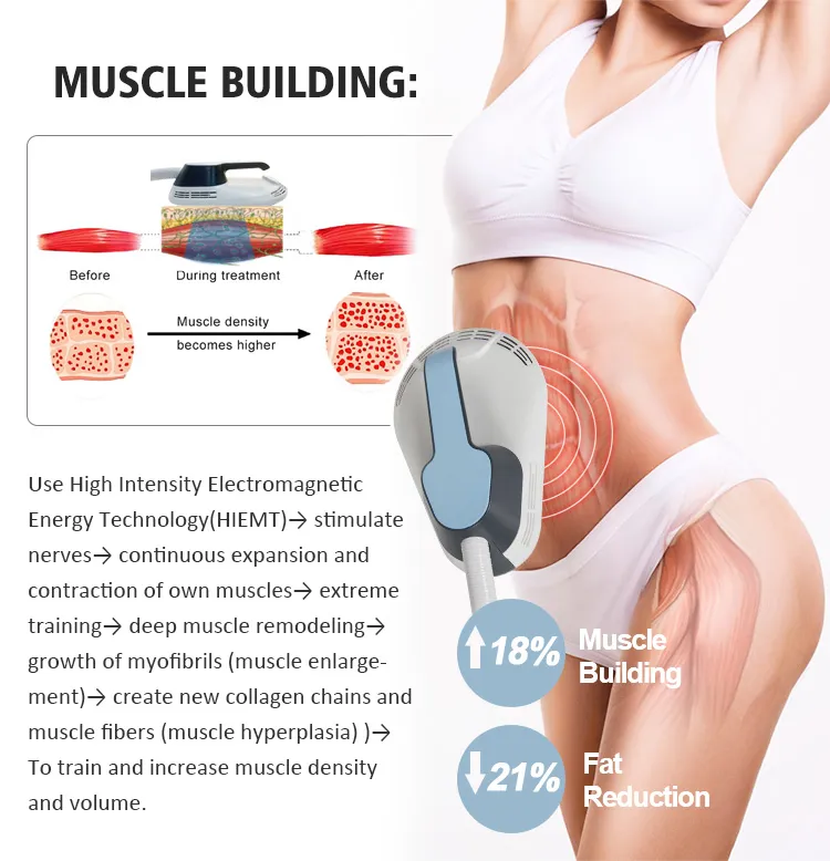 Freezing Fat Equipment