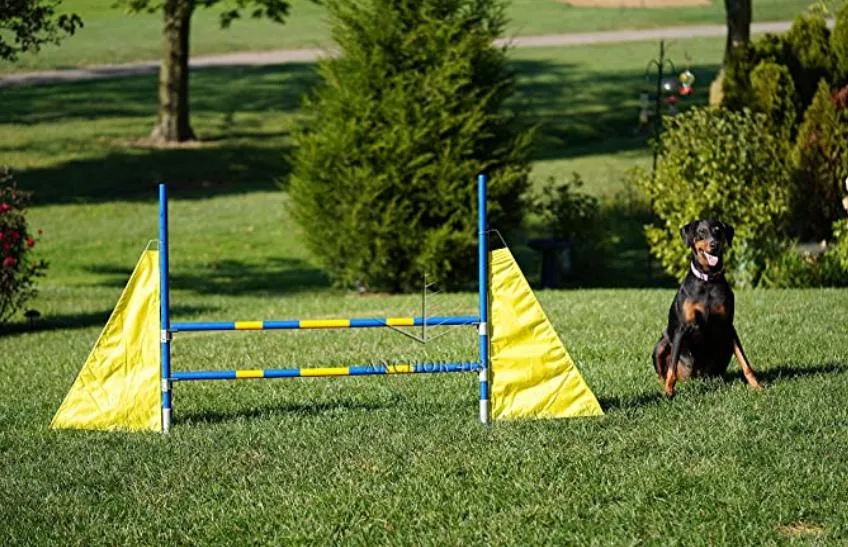 Training Equipment Detail 2