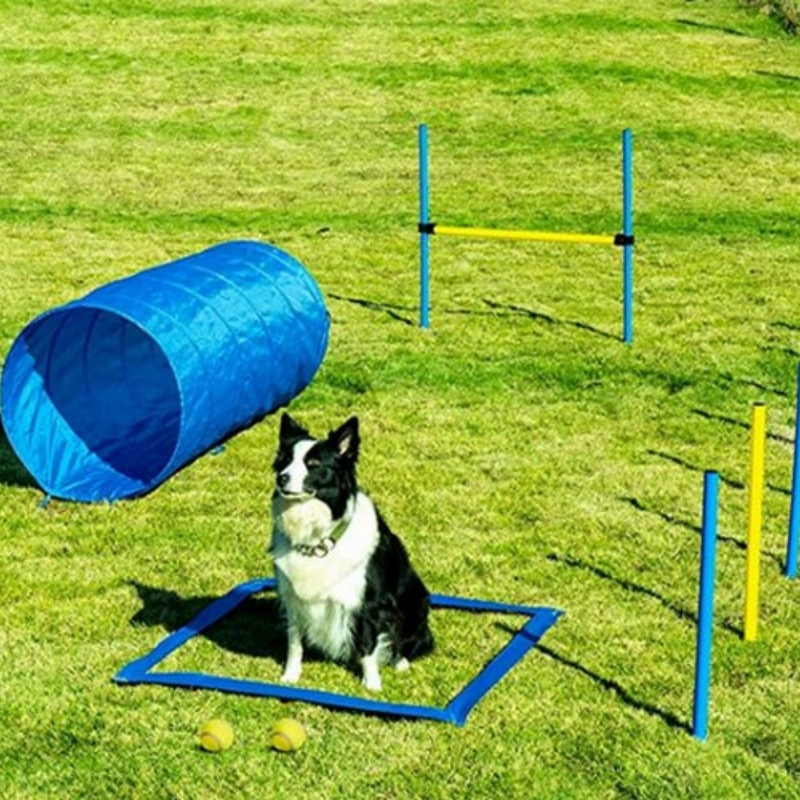 Pet Dog Agility Training Kit Jump Hurdle Tire Tunnel Slalom for Dogs