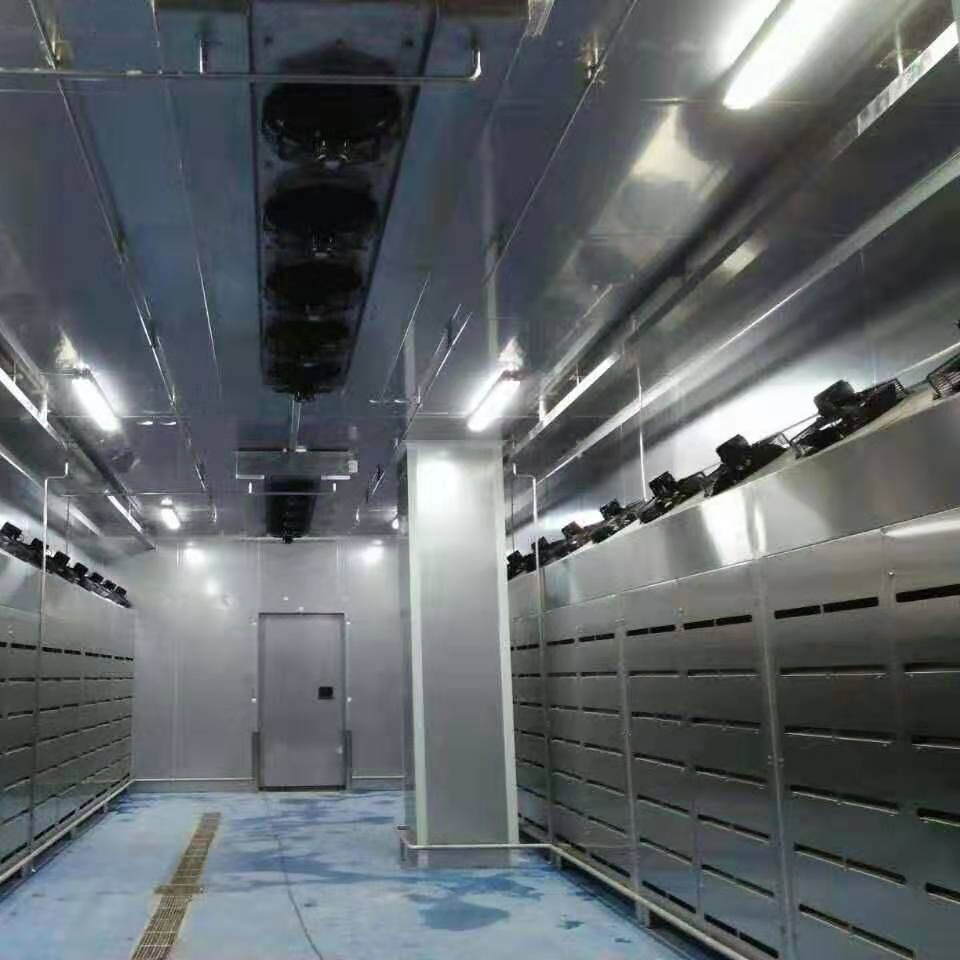 PLC Control Smart Defrosting Machine Low Temperature High Humidity Thawing Equipment