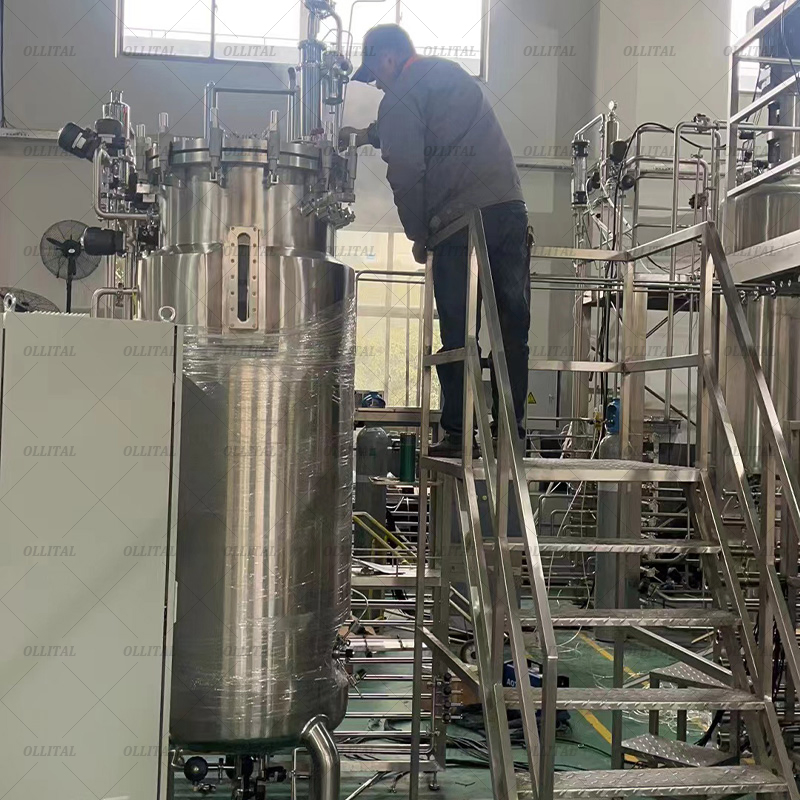 Ollital Bioreactor Equipment Batch and Continuous Bioreactor