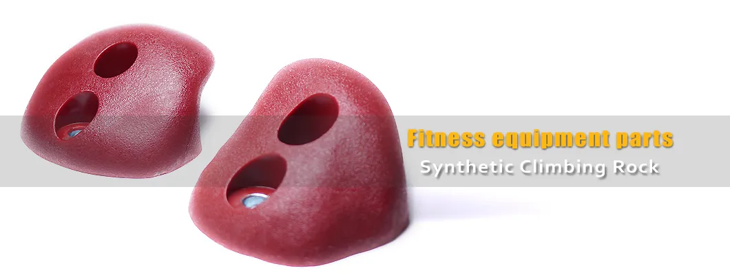 Professional Climbing Training