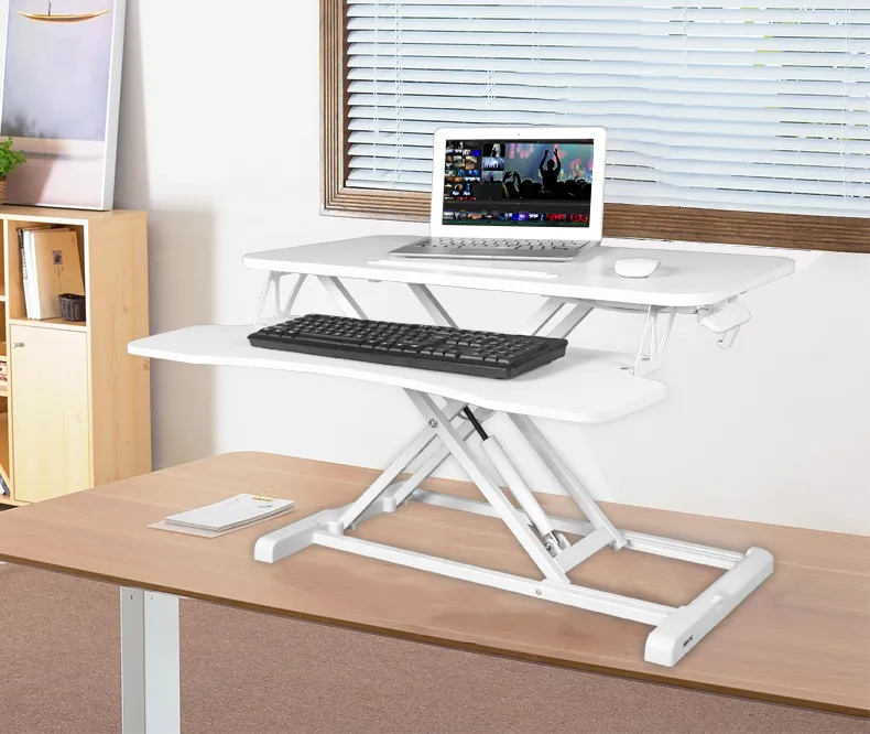 Ergonomic Standing Desk 1