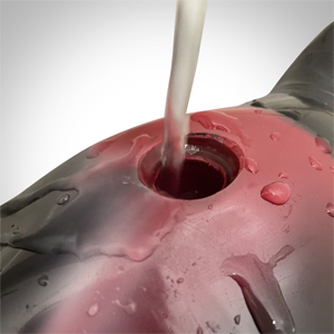 Heavy Punching Water Filled Boxing Bag for Kids and Adults Training Combos with Hooks and Uppercuts