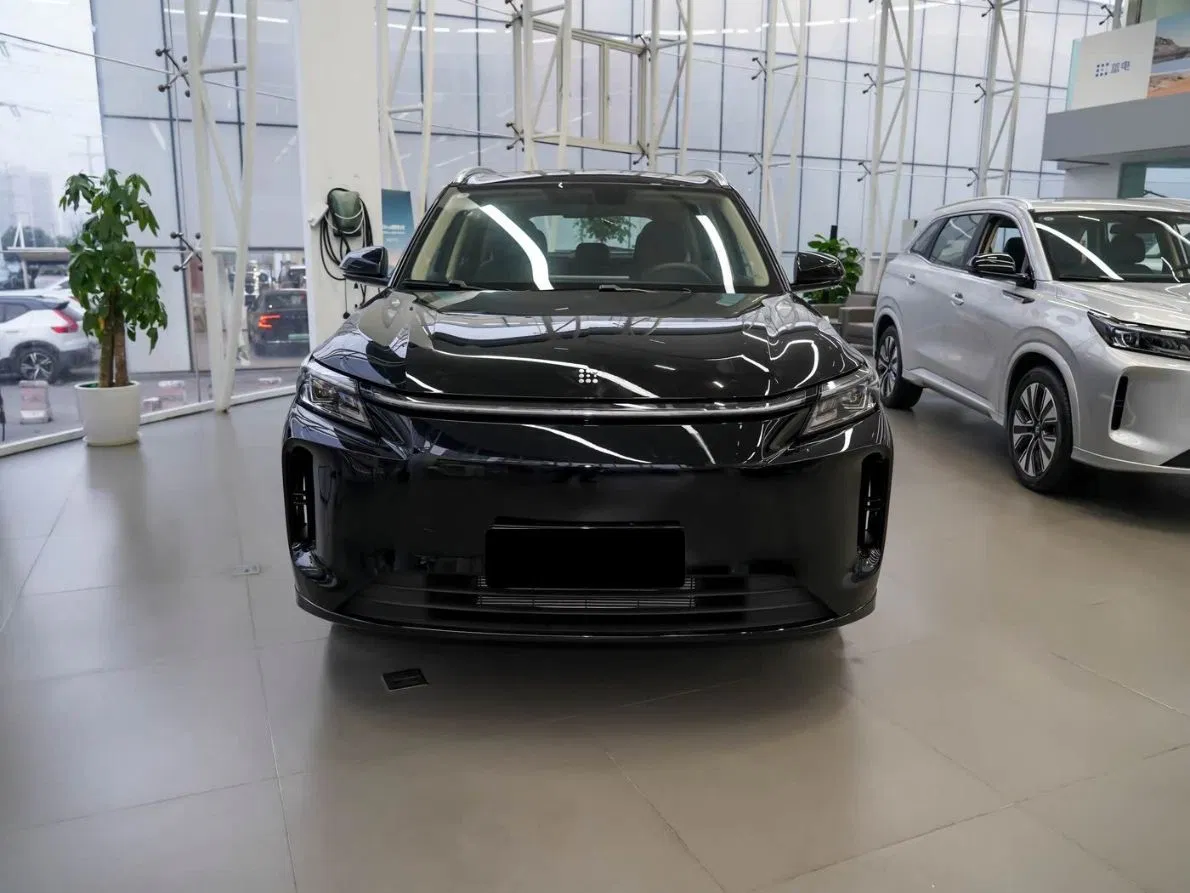 Youth-Friendly Comfortable Landian E5 Plus Auto Gear for Friend Gathering Transportation