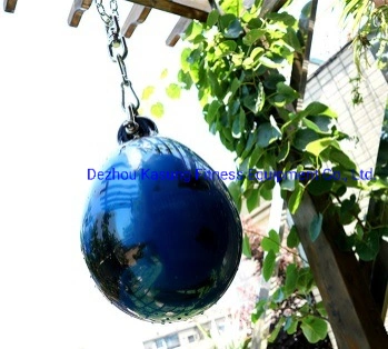 Hot Sales Water Filled Punching Bag for Fitness Club