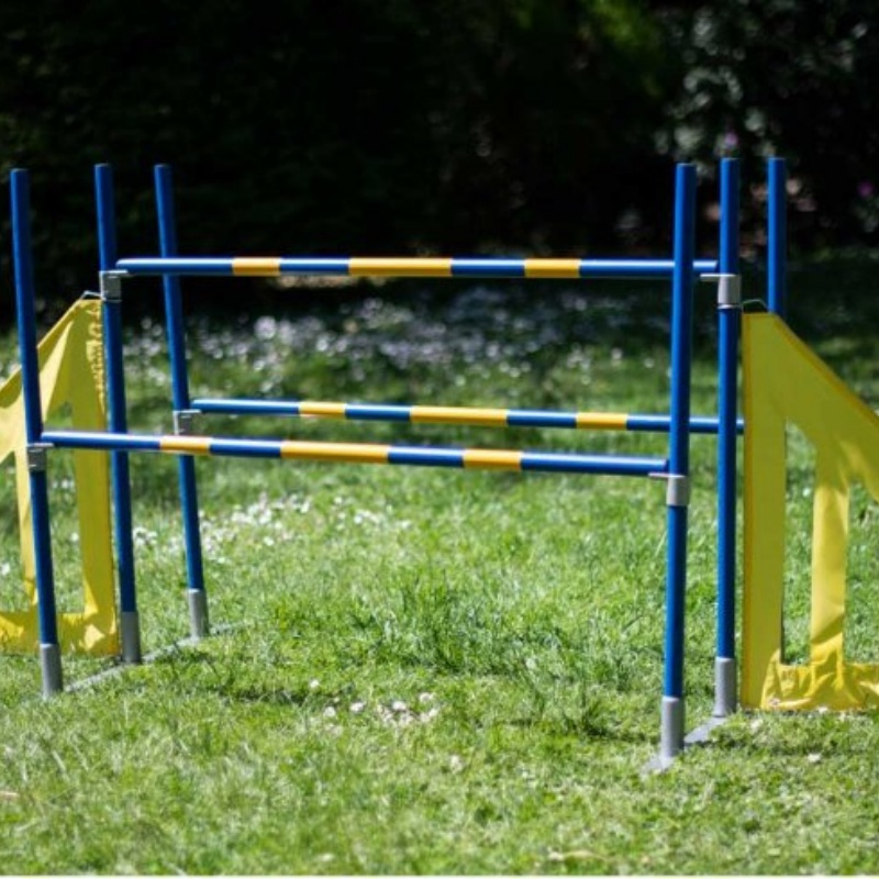 Dog Agility Wing Jump Hurdle for Pet Training
