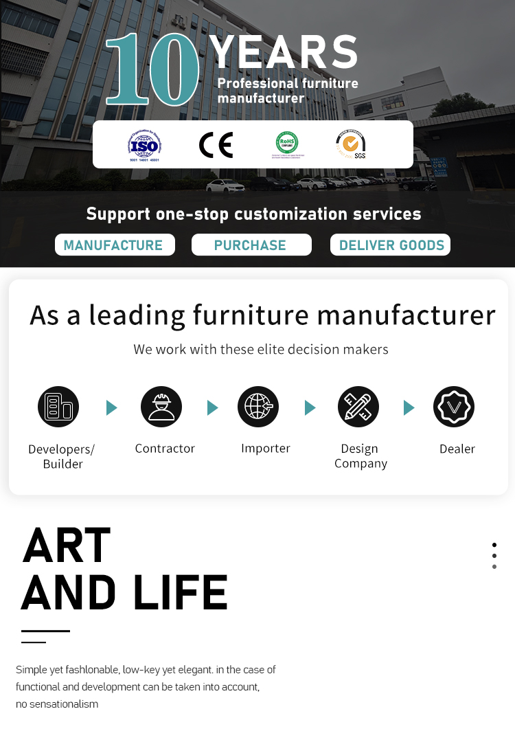 Electric Functional Sofa Chair Design