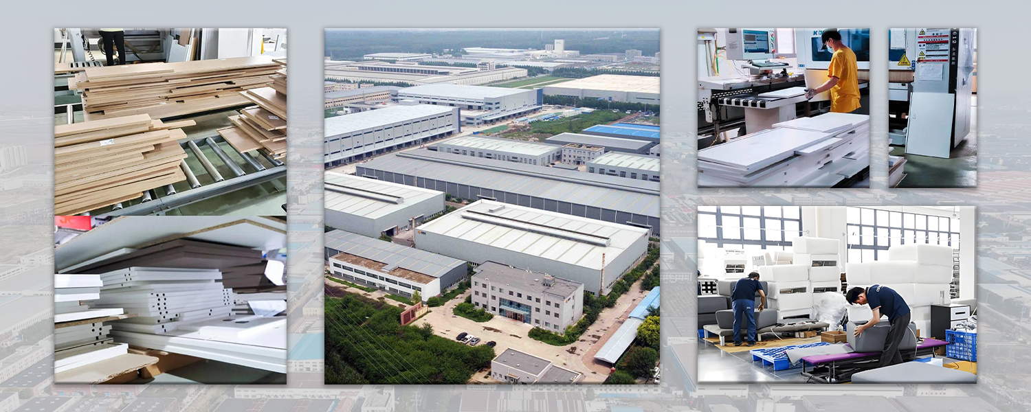 Company Profile