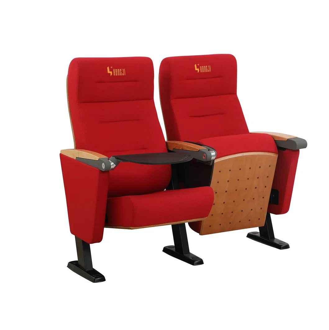Cinema Media Room Lecture Hall Lecture Theater Stadium Auditorium Theater Church Seating Project Image 2