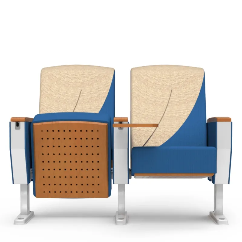 Auditorium Seating Arrangement View