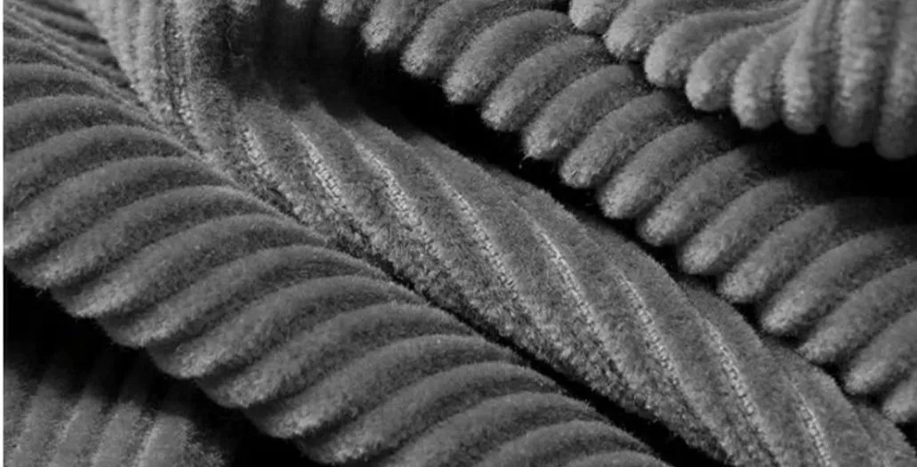 Corduroy Fabric Texture
