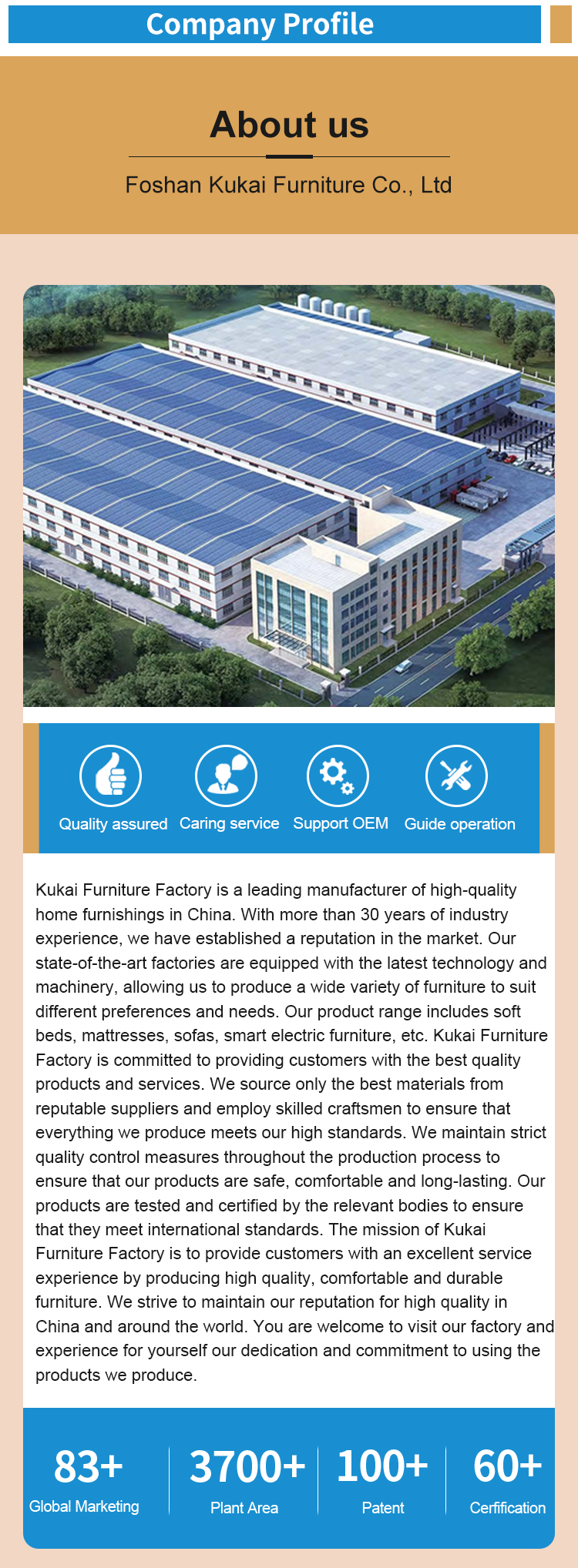 Company Information Detail 1