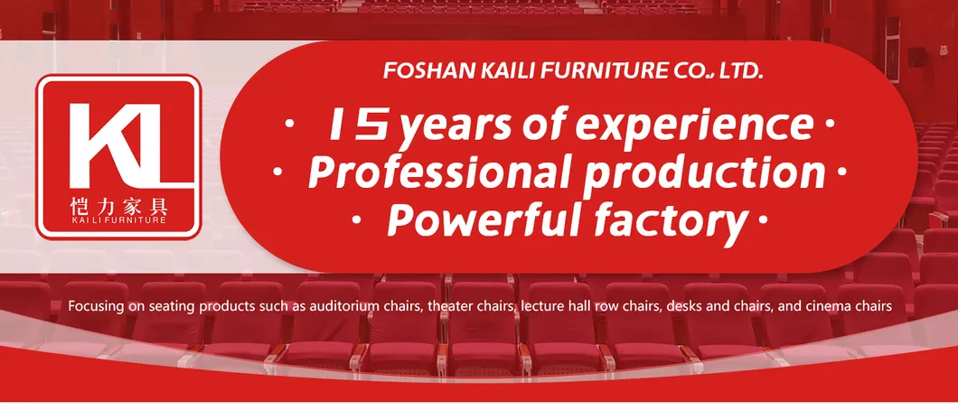 Cinema Theater Seating Auditorium Chair for Church, Concert, Stadium, School & Meeting Hall