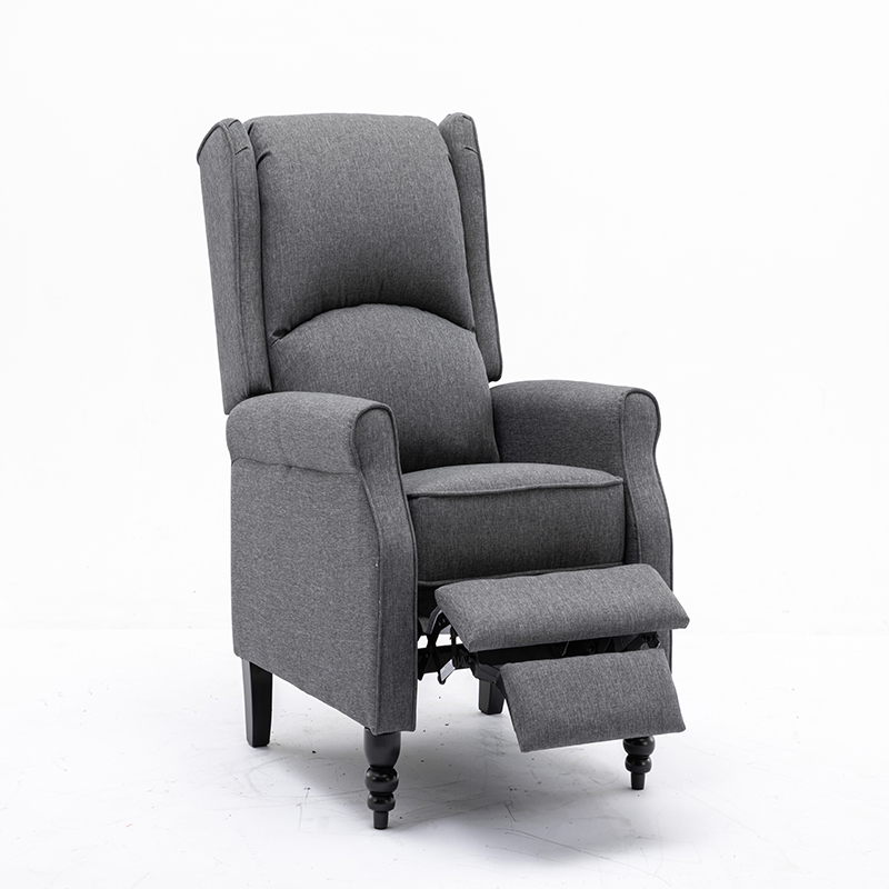 The Modern Design Exquisite Craft Recliner Sofa
