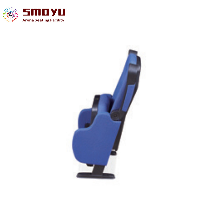 Conference School Lecture Hall Stadium Cinema Church Theater Auditorium Seating