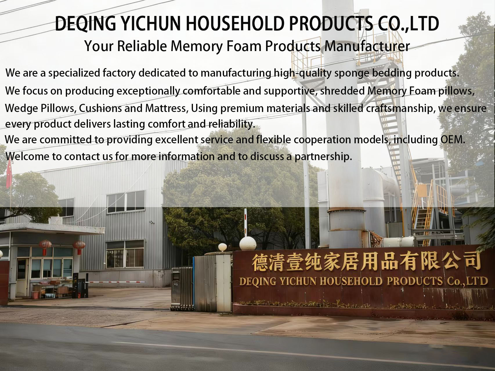 Company Overview