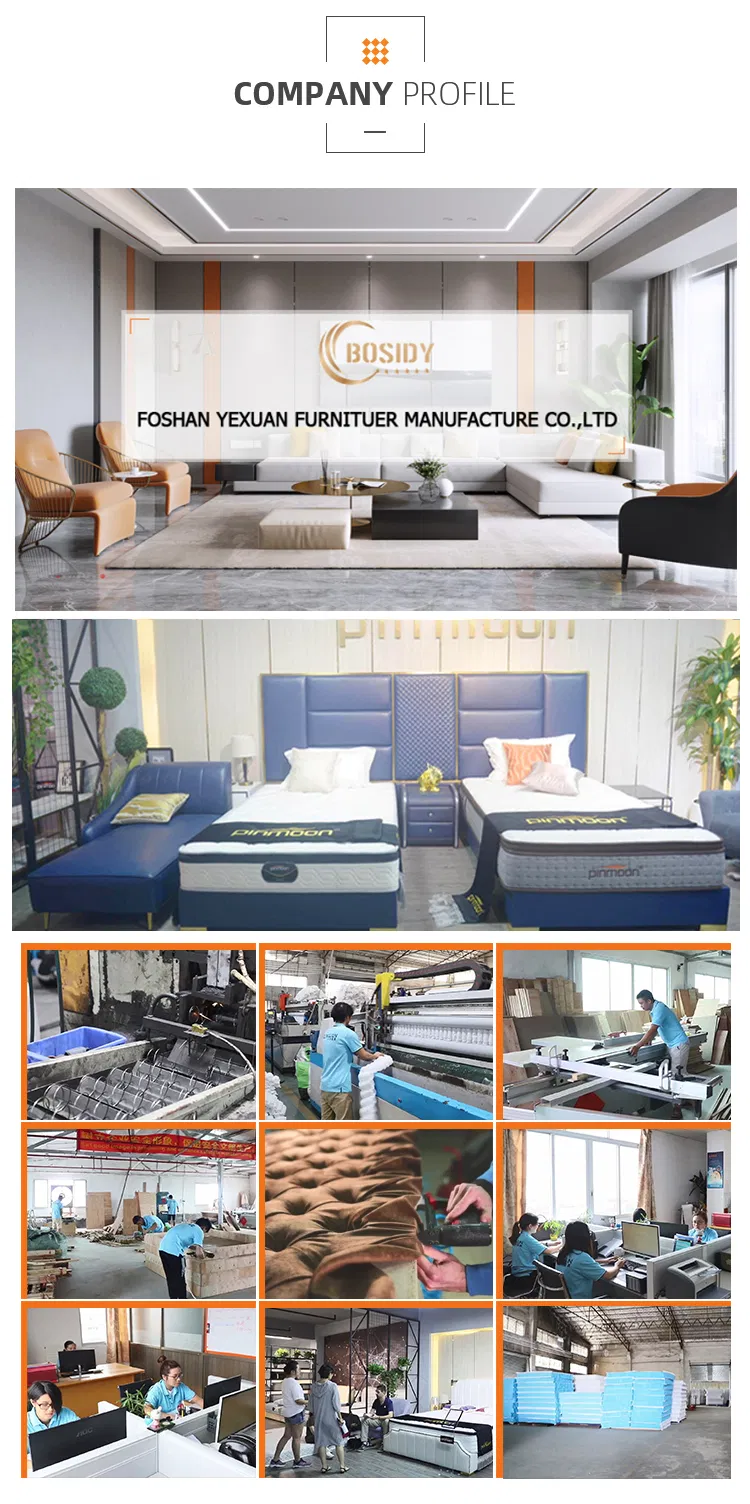 Electric Control Adjustable Pull out Sleeper Couch Bed Sofa Multifunctional Folding Livingroom Furniture Bed Sofa