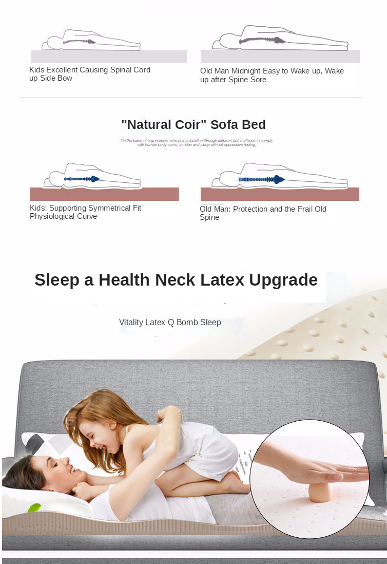 Sofa Bed Showcase 1