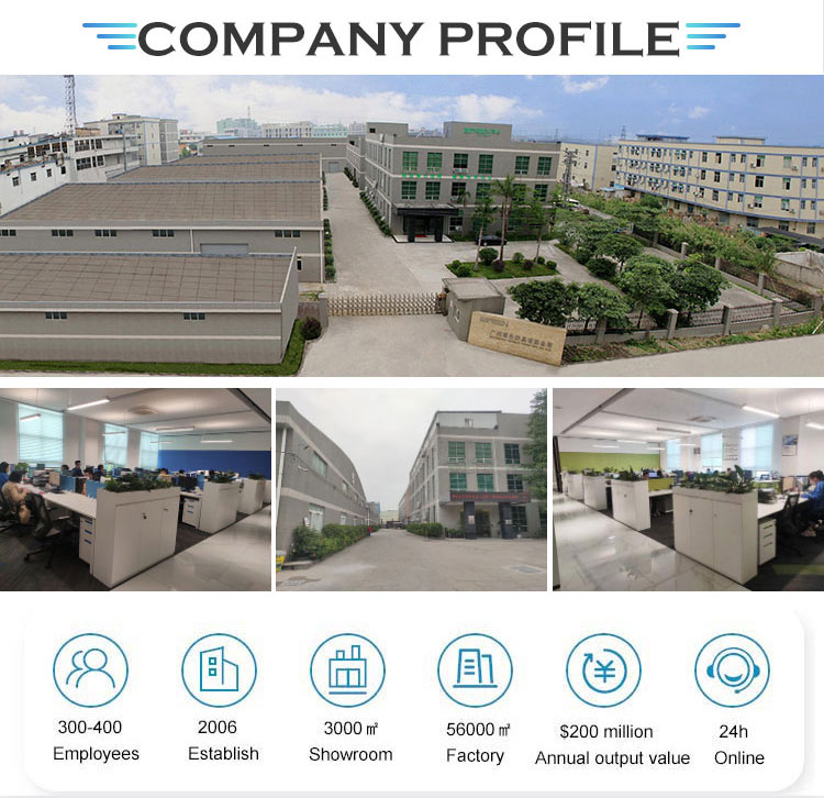 Company overview and strength
