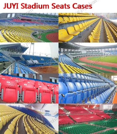Auditorium Seating Project Case