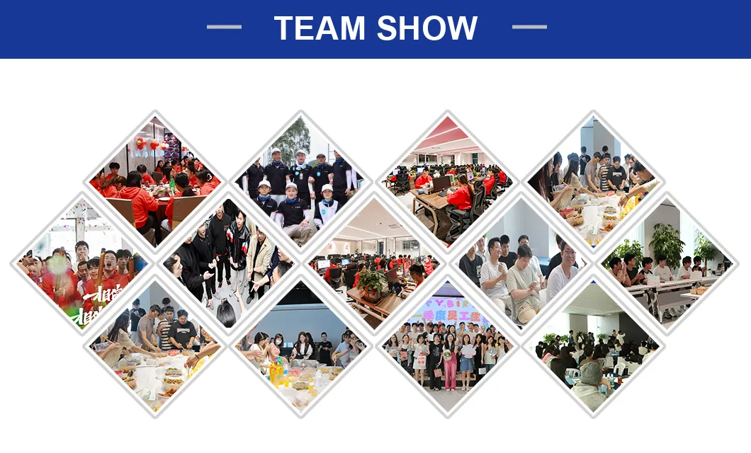 Professional Team